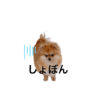 こた！！！（個別スタンプ：3）