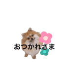 こた！！！（個別スタンプ：4）