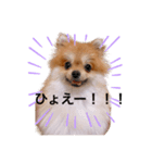 こた！！！（個別スタンプ：5）