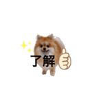 こた！！！（個別スタンプ：8）