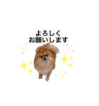 こた！！！（個別スタンプ：11）