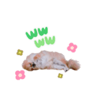 こた！！！（個別スタンプ：12）