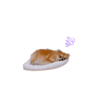 こた！！！（個別スタンプ：14）