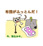ダジャレ猫の感情（個別スタンプ：2）