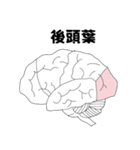 脳の部位（個別スタンプ：6）