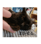 猫のもく3（個別スタンプ：9）