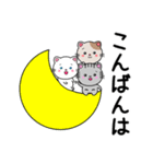 大人の毎日使える敬語♡かわいいシンプル猫（個別スタンプ：3）