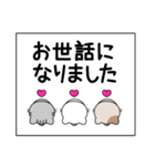 大人の毎日使える敬語♡かわいいシンプル猫（個別スタンプ：16）