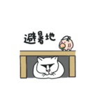 ゴルねこスタンプ 夏バージョン（個別スタンプ：36）