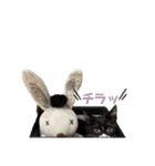 おにぎり猫のハン♂（個別スタンプ：30）