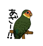 鳥で～す（個別スタンプ：2）