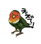 鳥で～す（個別スタンプ：4）