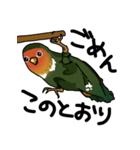 鳥で～す（個別スタンプ：7）