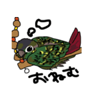 鳥で～す（個別スタンプ：8）
