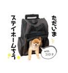 虎太郎スタンプ第5段（個別スタンプ：9）
