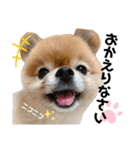 虎太郎スタンプ第5段（個別スタンプ：14）