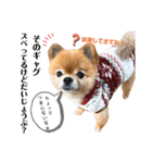 虎太郎スタンプ第5段（個別スタンプ：20）