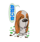 でかい バセットハウンド(犬) 40（個別スタンプ：25）