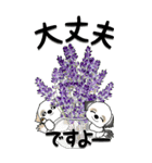 【Big】シーズー犬33『日常に花を！』（個別スタンプ：16）
