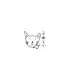 猫と言えば猫。（個別スタンプ：6）