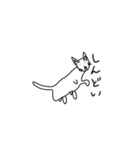 猫と言えば猫。（個別スタンプ：16）