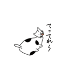 猫と言えば猫。（個別スタンプ：19）