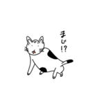 猫と言えば猫。（個別スタンプ：26）