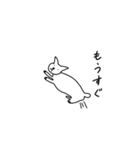 猫と言えば猫。（個別スタンプ：27）