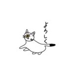 猫と言えば猫。（個別スタンプ：30）