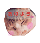 ちびスタンプ に（個別スタンプ：2）