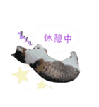 ちびスタンプ に（個別スタンプ：6）