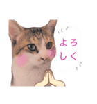 ちびスタンプ に（個別スタンプ：8）