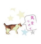 ちびスタンプ に（個別スタンプ：16）