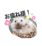クリーム色のとげとげ（個別スタンプ：10）