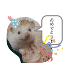 クリーム色のとげとげ（個別スタンプ：12）
