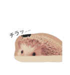 クリーム色のとげとげ（個別スタンプ：27）