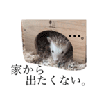 クリーム色のとげとげ（個別スタンプ：38）