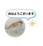 スズメの絵（個別スタンプ：1）