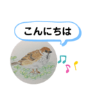 スズメの絵（個別スタンプ：2）