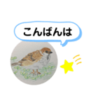 スズメの絵（個別スタンプ：3）