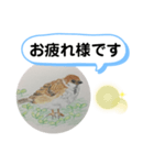 スズメの絵（個別スタンプ：4）