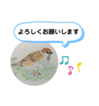 スズメの絵（個別スタンプ：5）