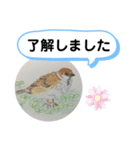 スズメの絵（個別スタンプ：6）