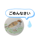 スズメの絵（個別スタンプ：7）
