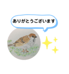 スズメの絵（個別スタンプ：8）