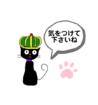 王冠の黒猫 2（個別スタンプ：7）