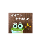 ゲコゲコがえるスタンプ（個別スタンプ：14）
