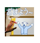 沖縄三線山羊(ヤギ)ちゃんの日常生活 4（個別スタンプ：13）