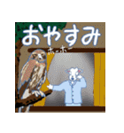 沖縄三線山羊(ヤギ)ちゃんの日常生活 4（個別スタンプ：14）