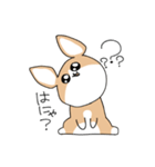 たぶんコーギー（個別スタンプ：4）